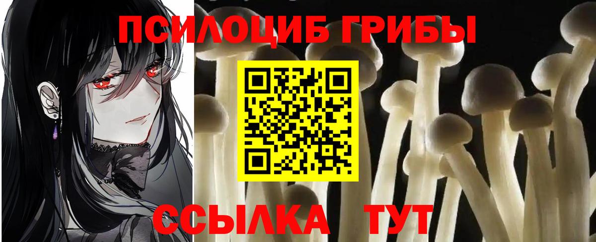 Галлюциногенные грибы Cubensis Благовещенск